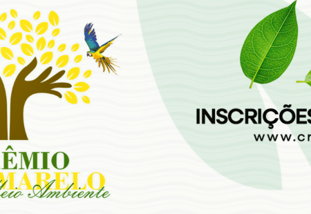 Live sobre incêndios florestais e urbanos está disponível no YouTube