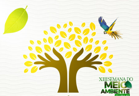 Live sobre incêndios florestais e urbanos está disponível no YouTube